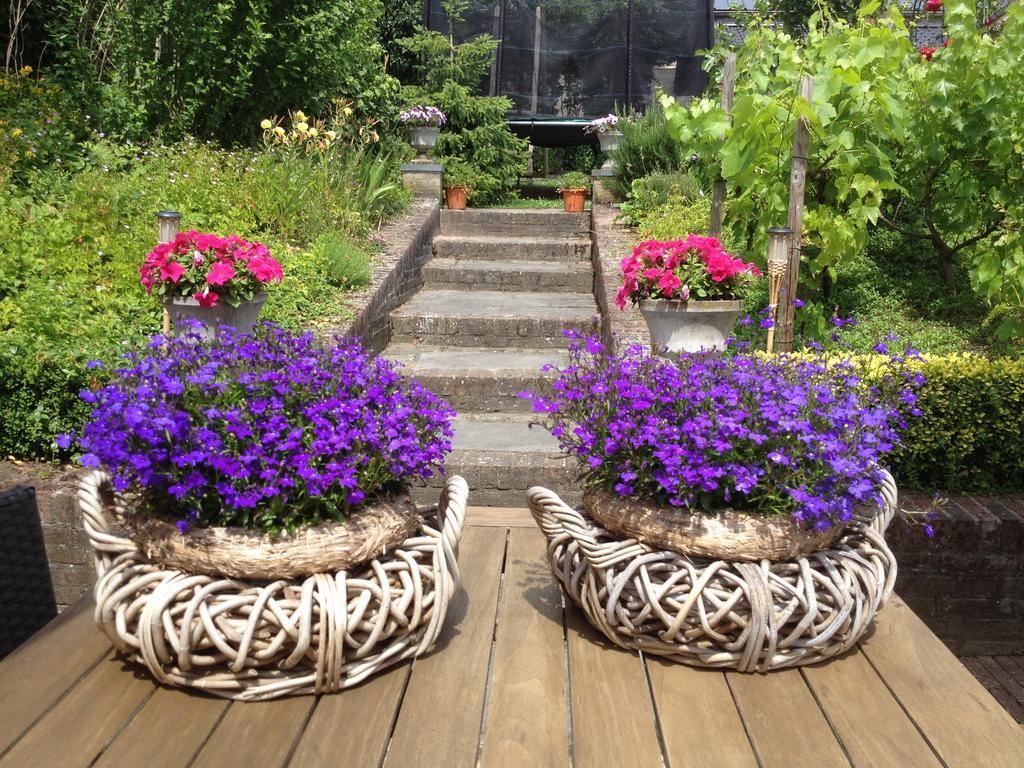 Bed & Breakfast Huize Mesch Eijsden Exterior photo